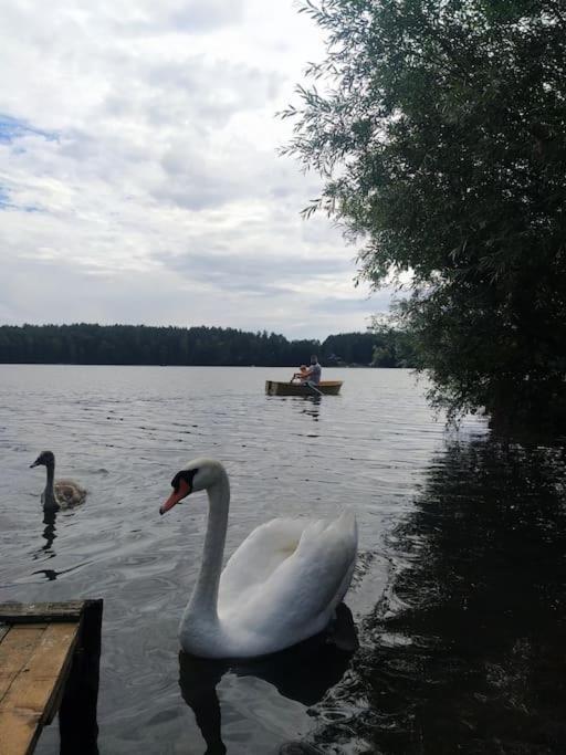 Wrzosowe Wzgorze - Domek Wiejski Klaczno Luaran gambar