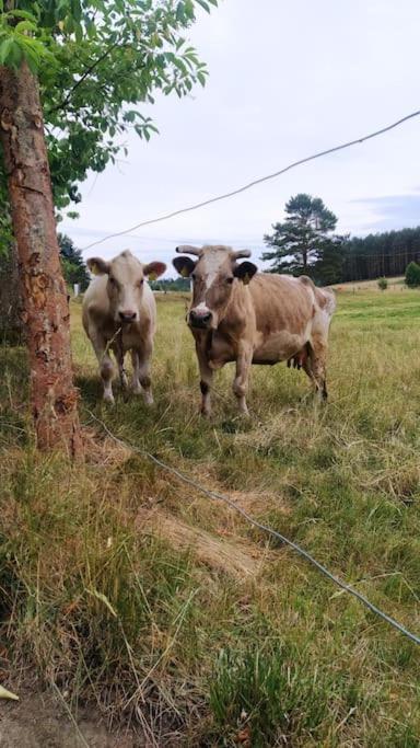 Wrzosowe Wzgorze - Domek Wiejski Klaczno Luaran gambar